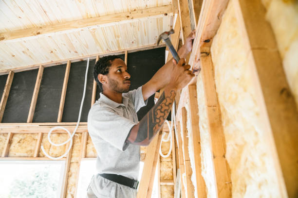 Best Attic Insulation Installation  in Jonesville, MI