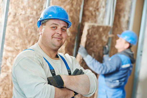Best Home Insulation Services  in Jonesville, MI